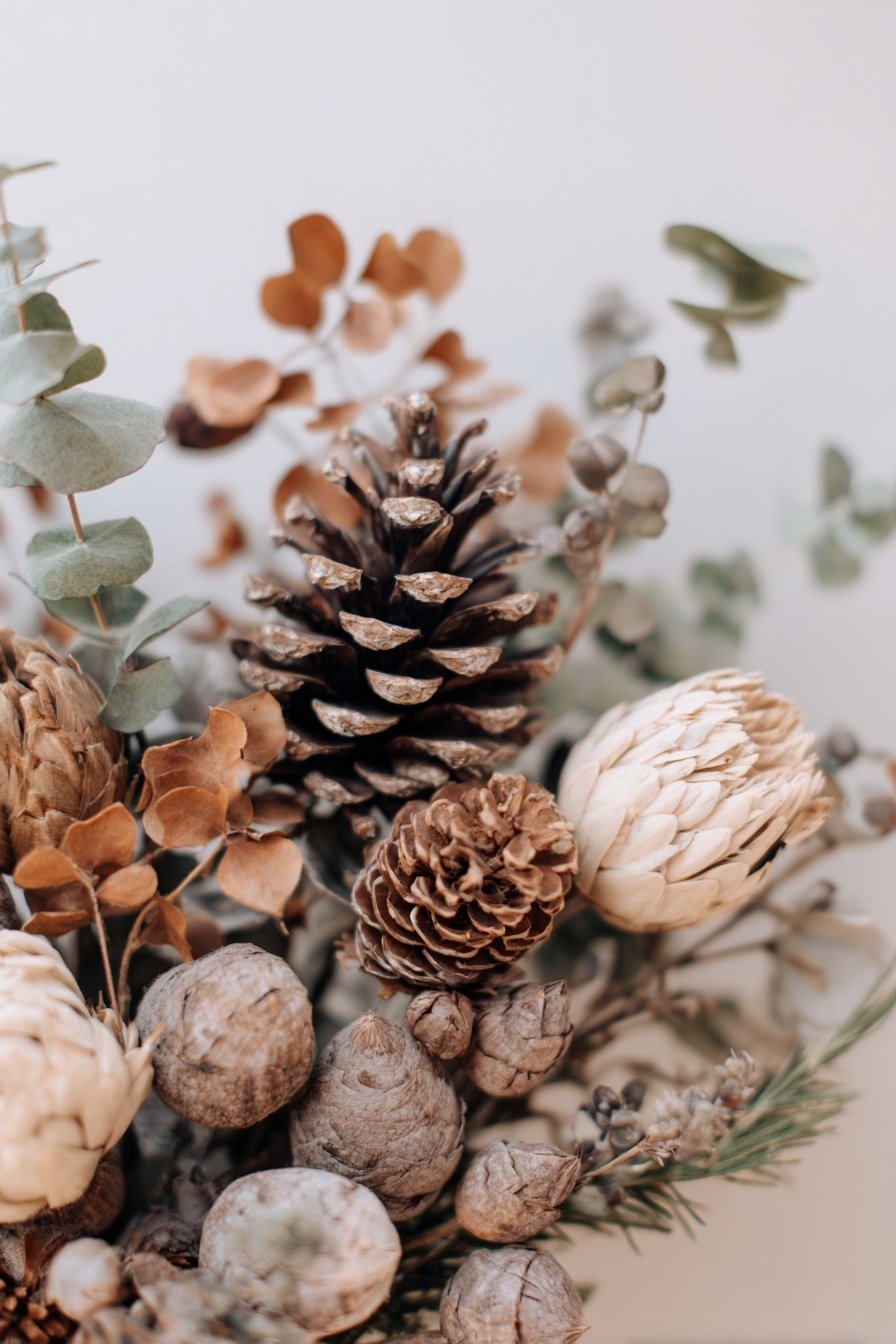 Trockene Zweige, Zapfen und Samenkapseln in winterlichem Arrangement