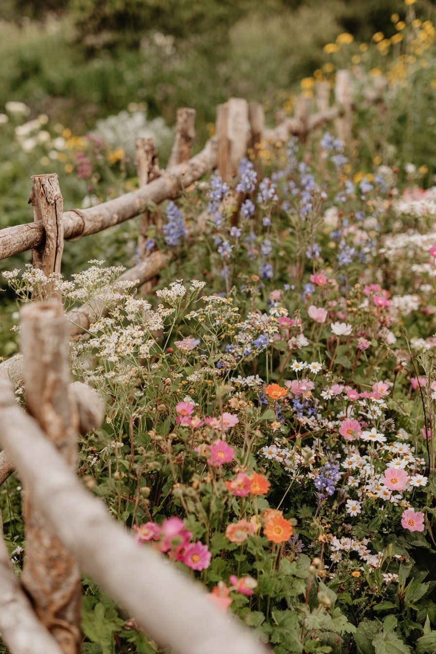 Blühende Wildblumen in zarten Farben vor einem rustikalen Holzzaun