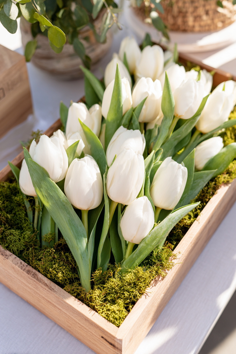 Tablett mit weißen Tulpen und Moos