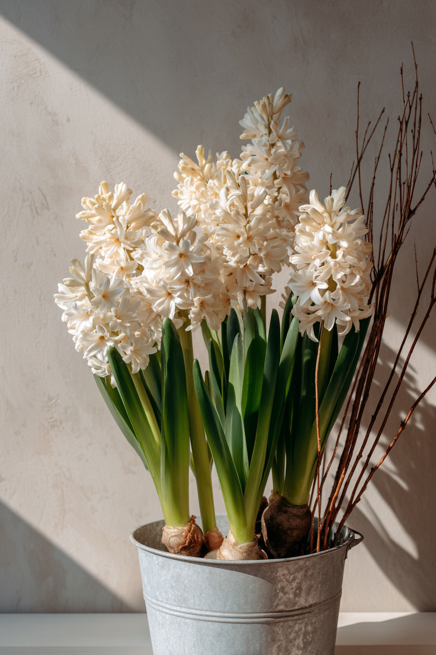 Hyazinthen und Zweige im Zinkeimer als Frühlingsdeko