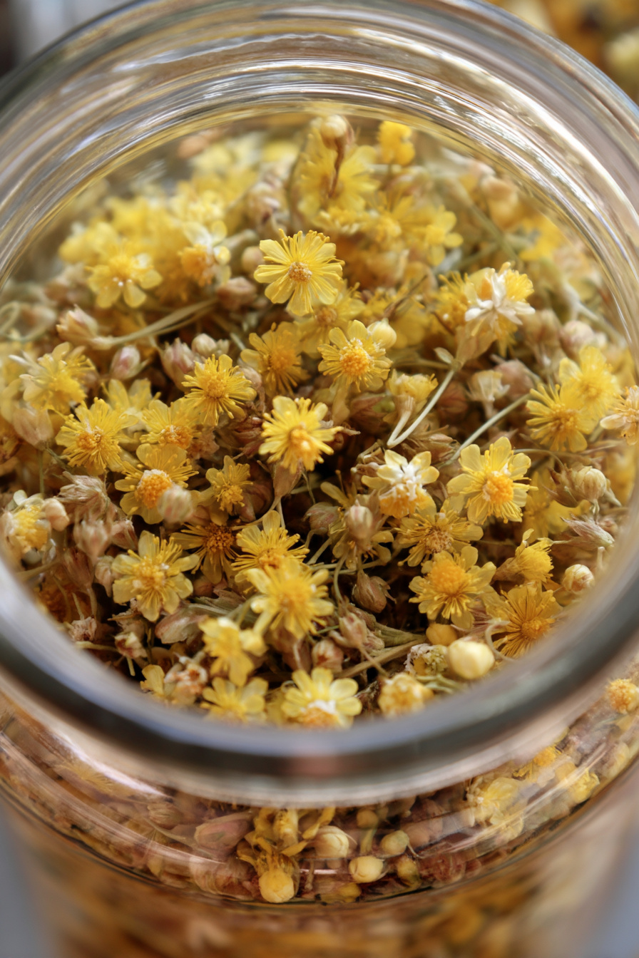 Mini-Narzissen im kleinen Einmachglas als Frühlingsdeko