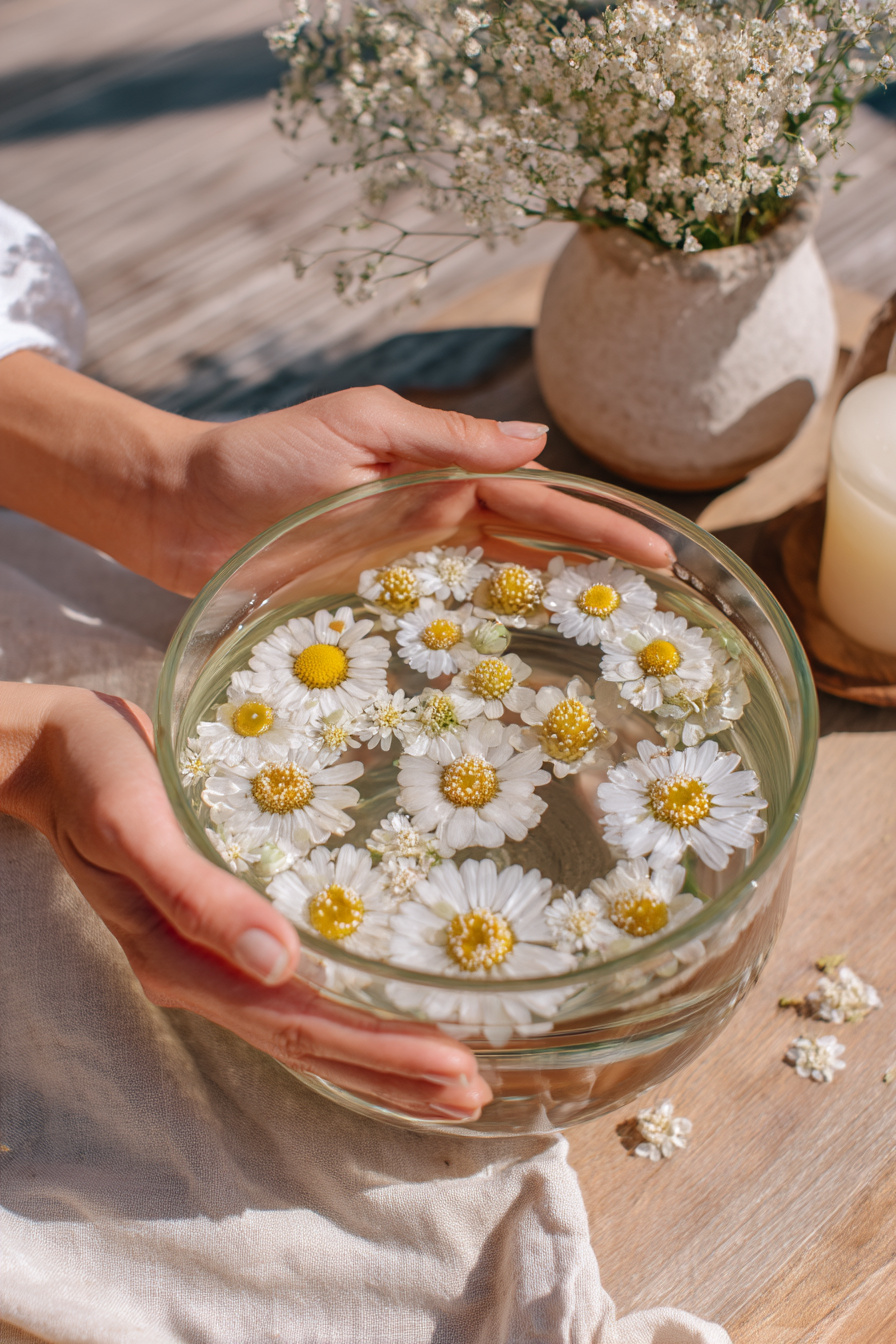 Niedriges Glas mit schwimmenden Gänseblümchen von oben