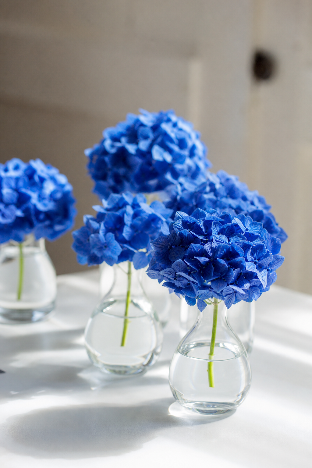 Blaue Hortensien in kleinen Glasvasen auf weißem Tisch