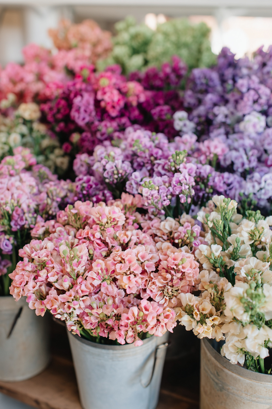 Eimerchen mit rosa und lila Blüten auf Geburtstagstisch